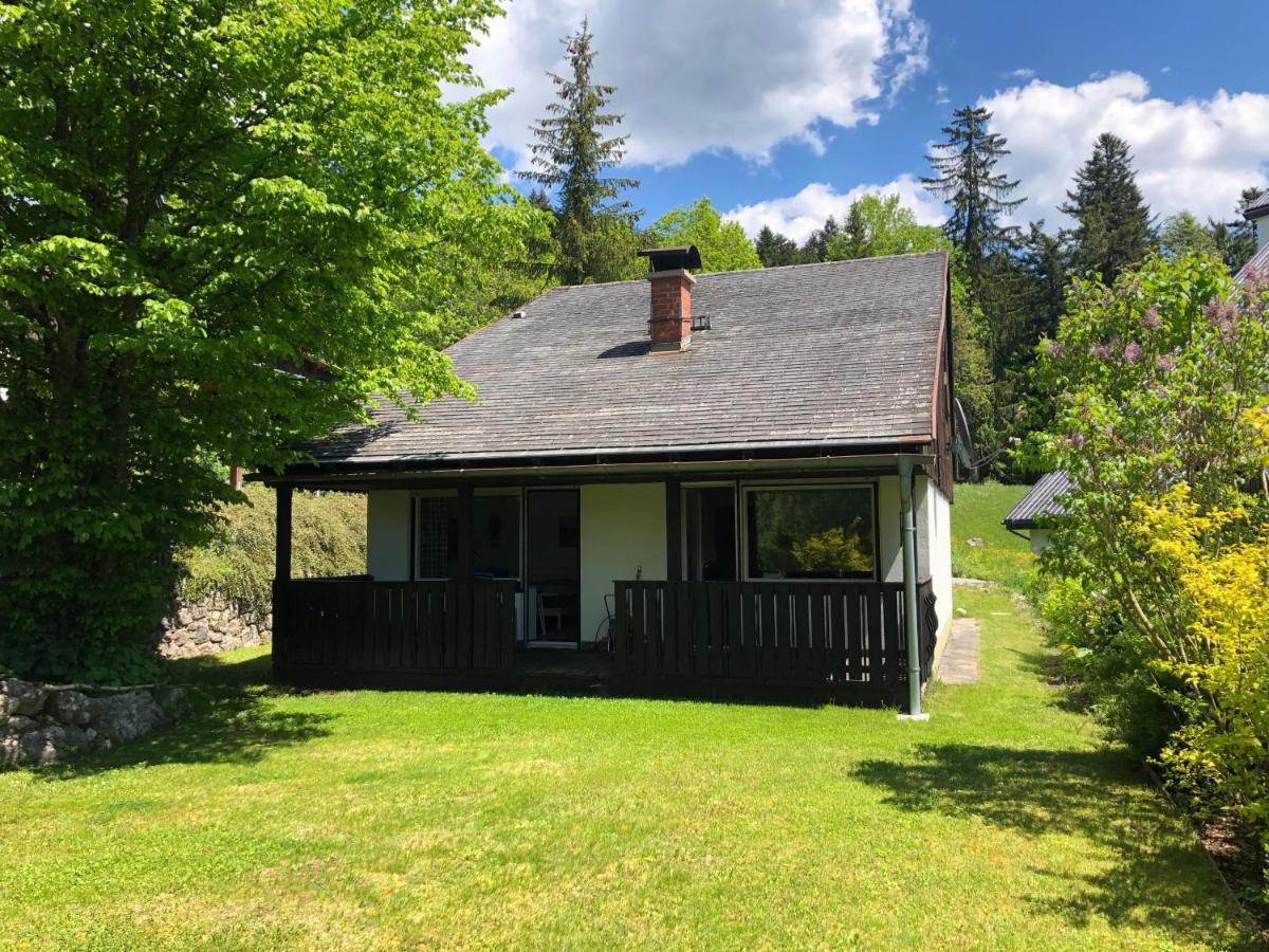 Haus Max Villa Bad Mitterndorf Dış mekan fotoğraf