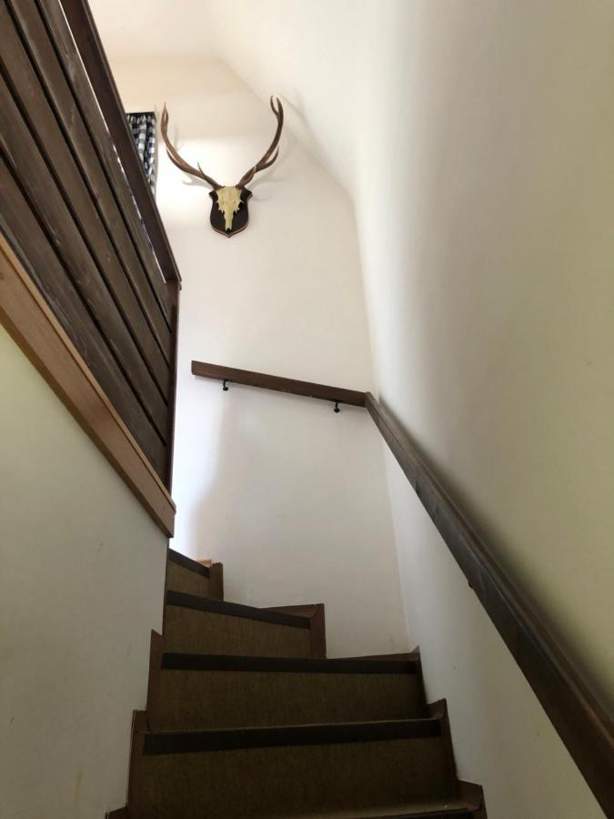 Haus Max Villa Bad Mitterndorf Dış mekan fotoğraf